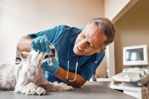Best Tooth Pain Emergency Relief  in Edgewood, FL